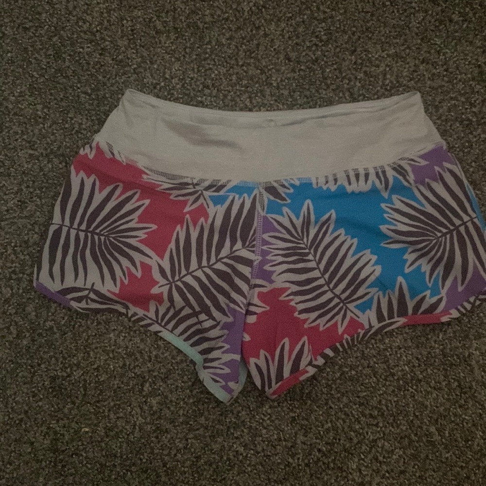 Rabbit catch me if you can shorts